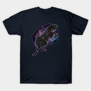 Cosmic Wolf T-Shirt